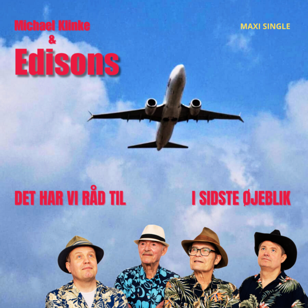 Det har vi råd til - cover