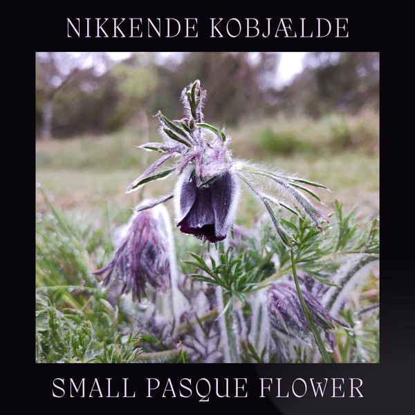 Nikkende Kobjælde