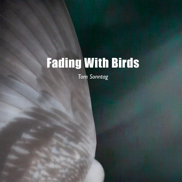 Fading With Birds