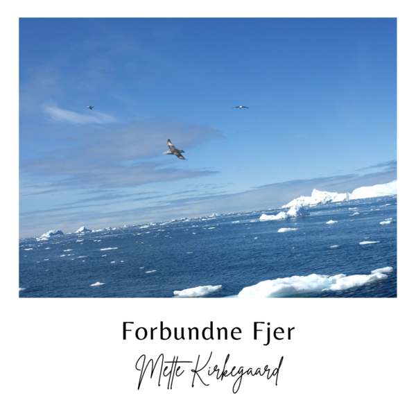 Forbundne Fjer