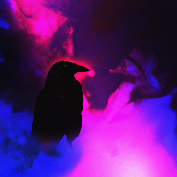 The Crows
