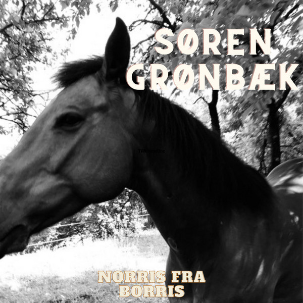 Norris fra Borris