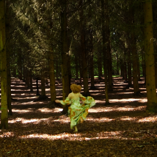 Through the Woods
