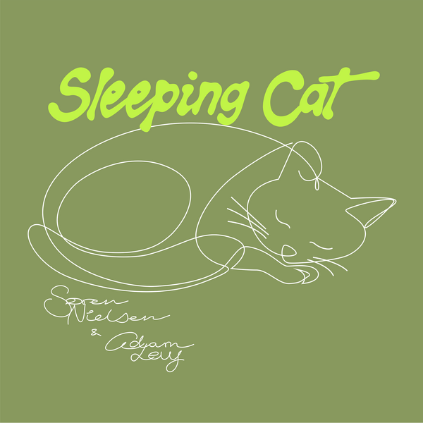 Sleeping Cat