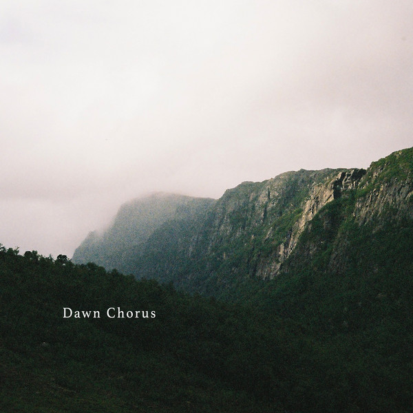 Dawn Chorus