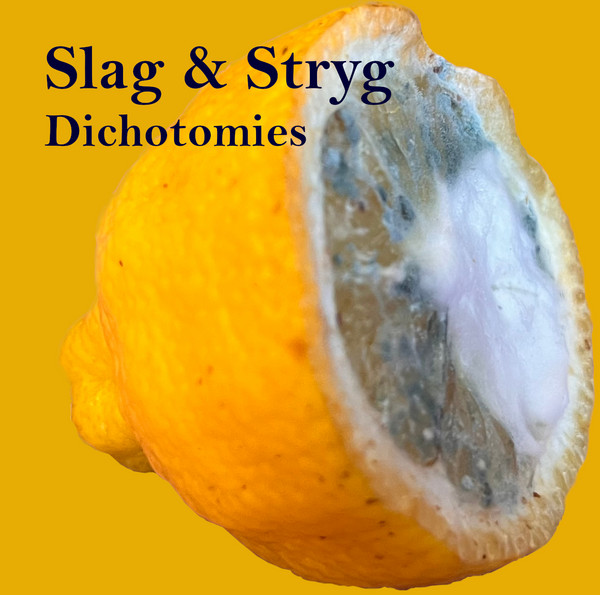 Dichotomies